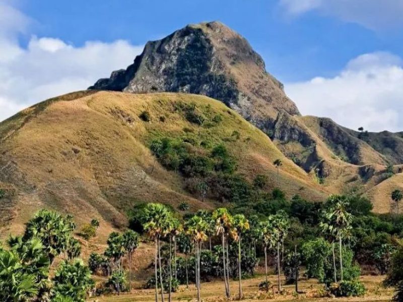 intip-pesona-pulau-mules-wisata-petualangan-suguhkan-sensasi-bak-film-jurrasic-park-mKVZIQFVrY