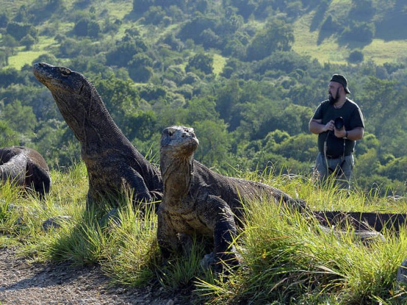 photographer-komodo-1-1