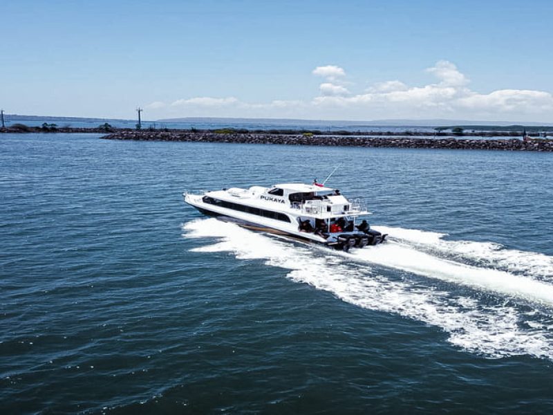 spead-boat-pulau-komodo (6)