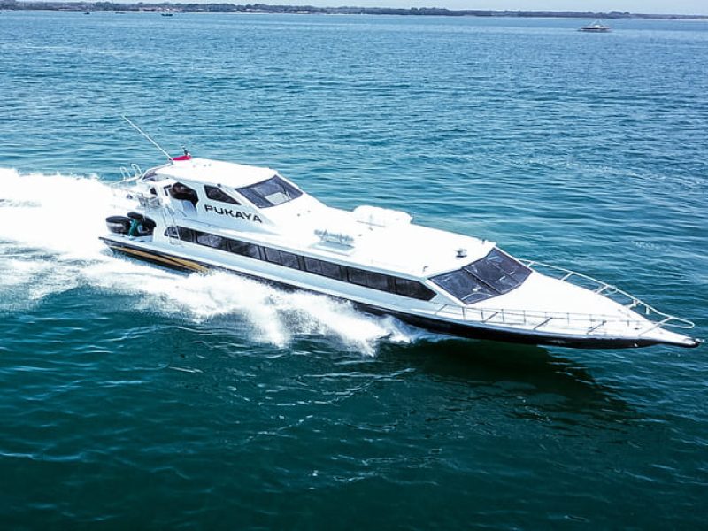spead-boat-pulau-komodo (9)
